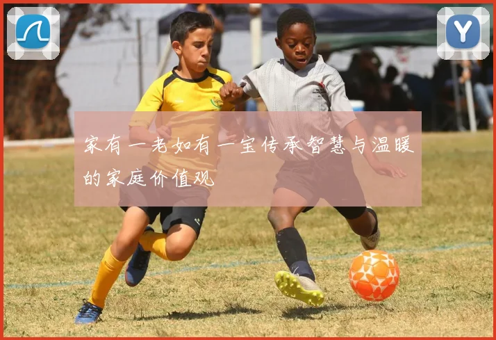 家有一老如有一宝传承智慧与温暖的家庭价值观