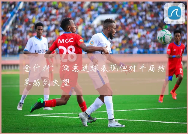 舍什科：满意进球表现但对平局结果感到失望