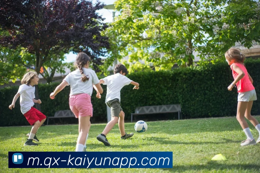 开云体育品牌故事